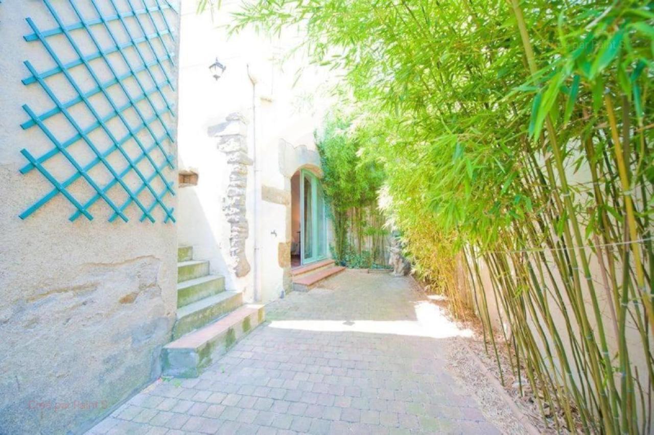 Les Chemins De La Cite Chambre Ou Appartement Carcassonne Eksteriør billede