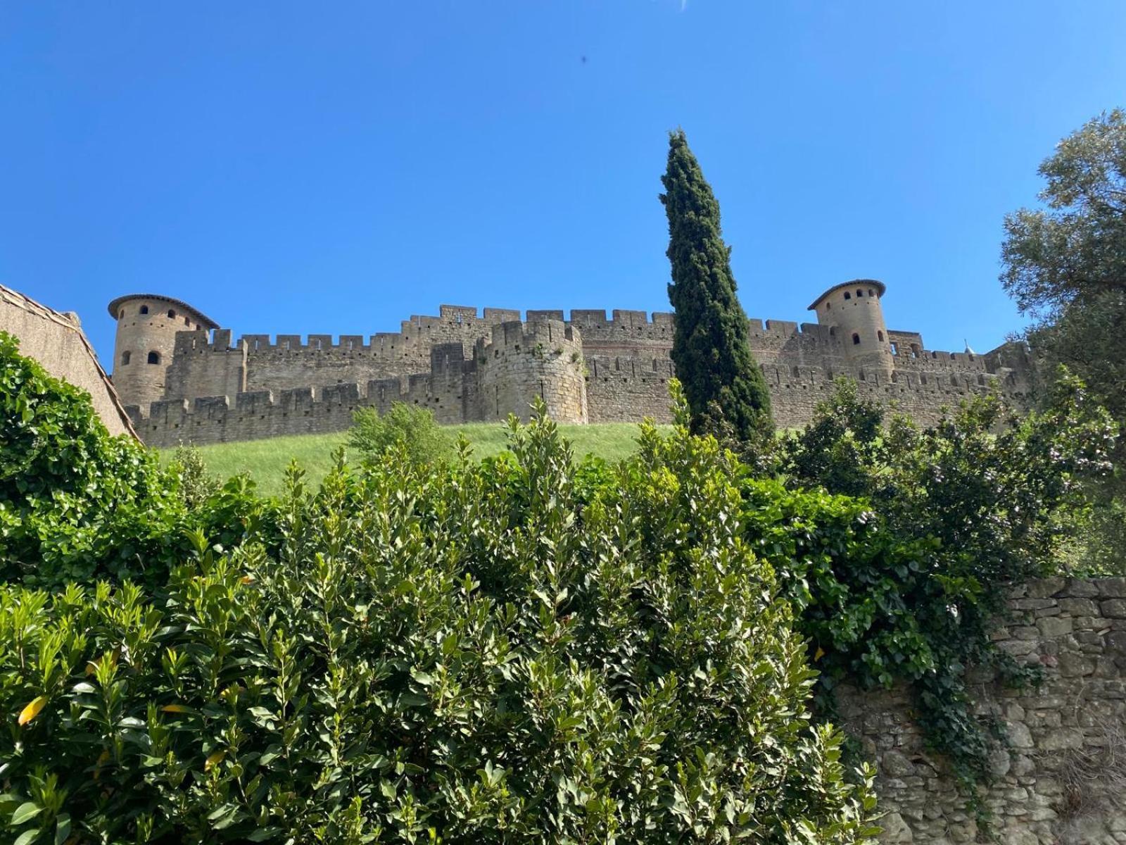 Les Chemins De La Cite Chambre Ou Appartement Carcassonne Eksteriør billede